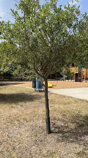 Park «Jane Dubel Park», reviews and photos, 4741 Callaghan Rd, San Antonio, TX 78228, USA