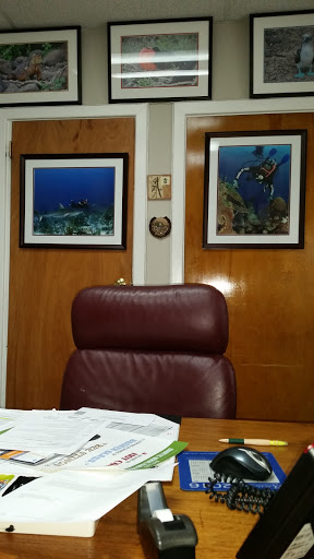 92-04 Springfield Blvd, Queens Village, NY 11428, USA