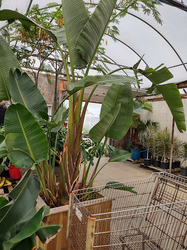 Plant Nursery «Blooming Acres», reviews and photos, 7561 State Rd, Wadsworth, OH 44281, USA