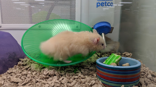 Pet Supply Store «Petco Animal Supplies», reviews and photos, 1919 El Camino Real, Mountain View, CA 94040, USA