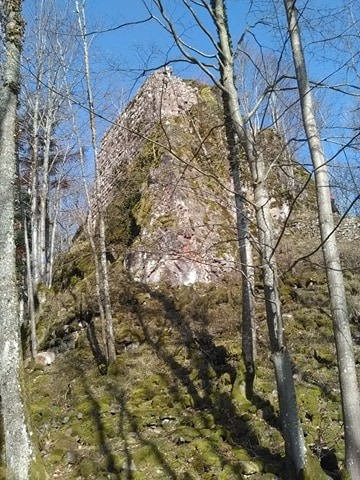 Photo n° 2 de l'avis de Grégoire.u fait le 06/03/2020 à 10:40