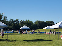 Alicia Wolfzorn, Realtor, e-Merge Real Estate - Photo 4 - Car repair in Pickerington, OH, Columbus