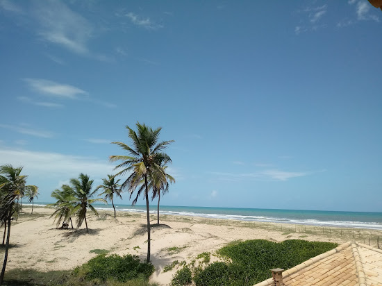 Strand Jatoba