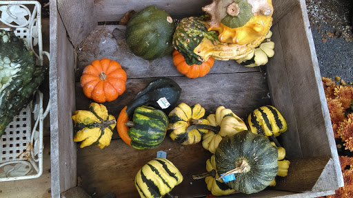 Produce Market «Highland Orchards Farm Market», reviews and photos, 1431 Foulk Rd, Wilmington, DE 19803, USA