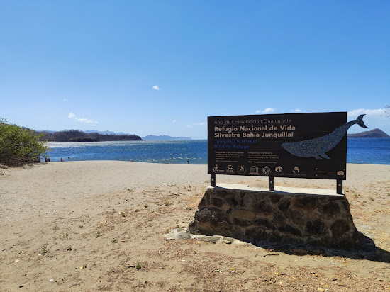 Junquillal beach