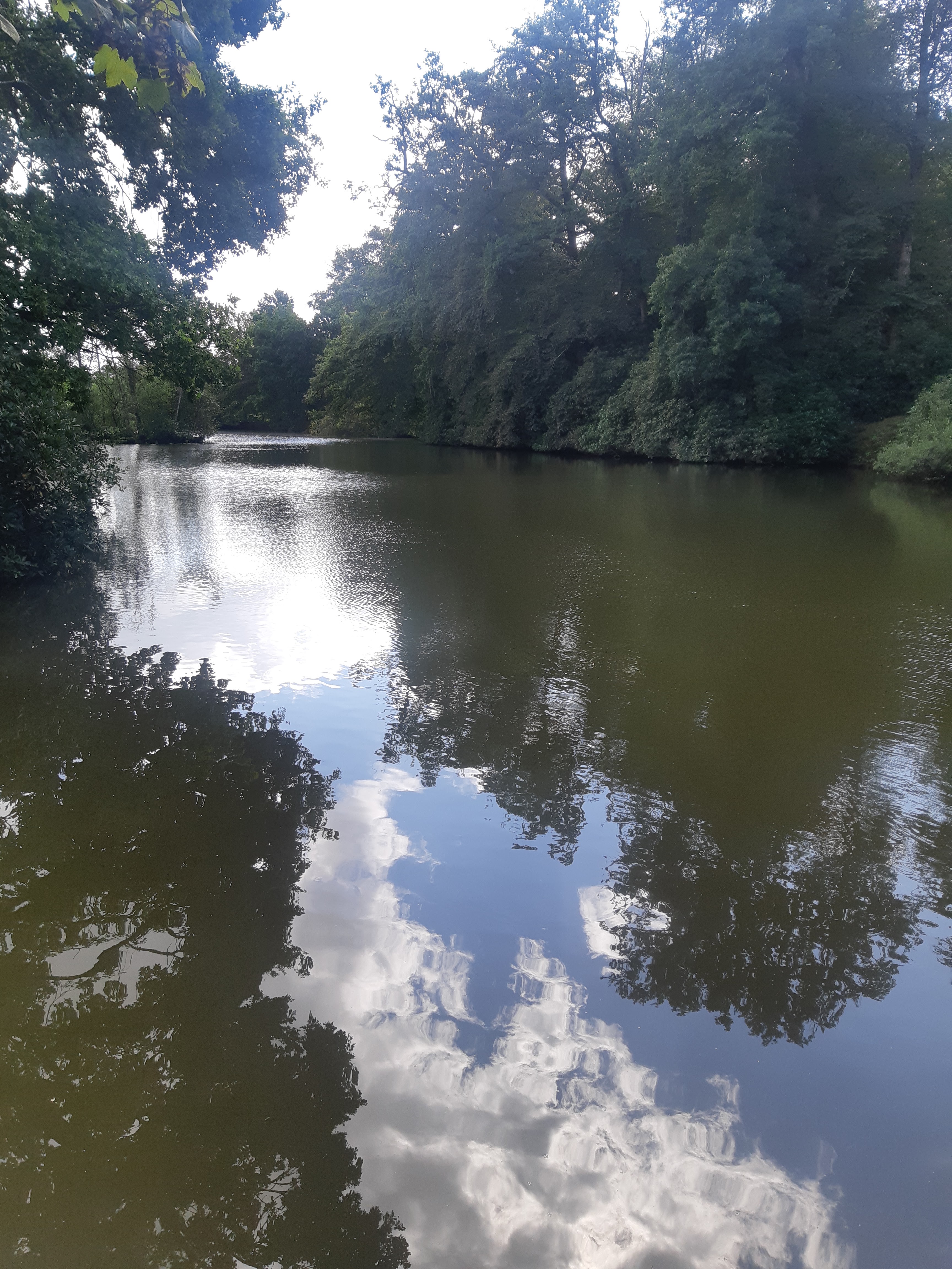 Photo n° 23 de l'avis de Monnin.h fait le 30/08/2022 à 15:51