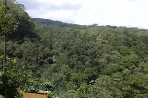 Kikiliyamana Forest Reserve image
