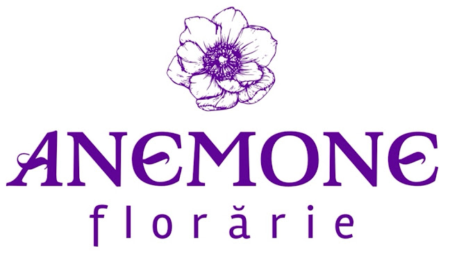 Opinii despre Floraria Anemone în <nil> - Florărie
