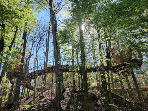 Nature Preserve «Fernbank Forest», reviews and photos, 767 Clifton Rd, Atlanta, GA 30307, USA