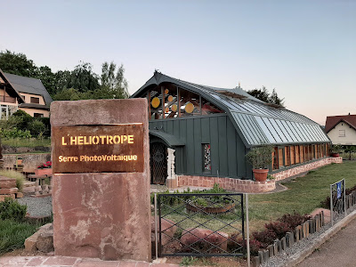 L'héliotrope à Dinsheim-sur-Bruche