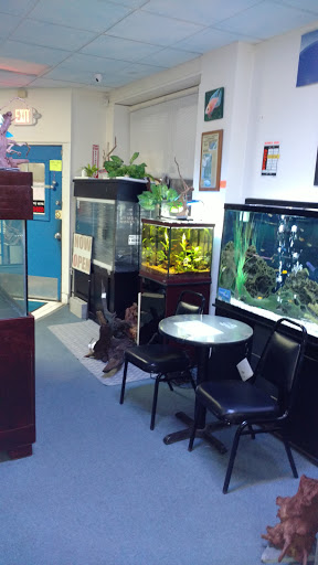 Aquarium Shop «Something Fishy Inc.», reviews and photos, 4764 State Rd, Cleveland, OH 44109, USA