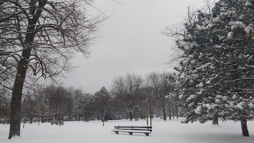 Dog Park «Norwood Park Dog Friendly Area», reviews and photos, 5850 N Avondale Ave, Chicago, IL 60631, USA