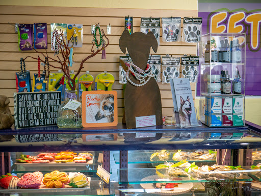 Pet Store «Kosmos Dog House», reviews and photos, 10105 E Vía Linda, Scottsdale, AZ 85258, USA