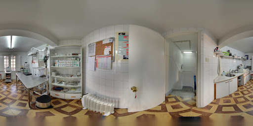 Clínica Veterinaria O Salnés en Caldas de Reis