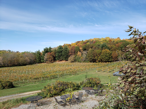 Winery «Falconer Vineyards», reviews and photos, 3572 Old Tyler Rd, Red Wing, MN 55066, USA