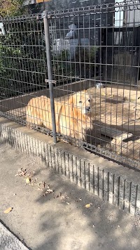 長専寺