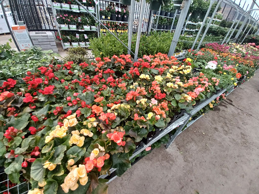 Garden Centre at The Home Depot