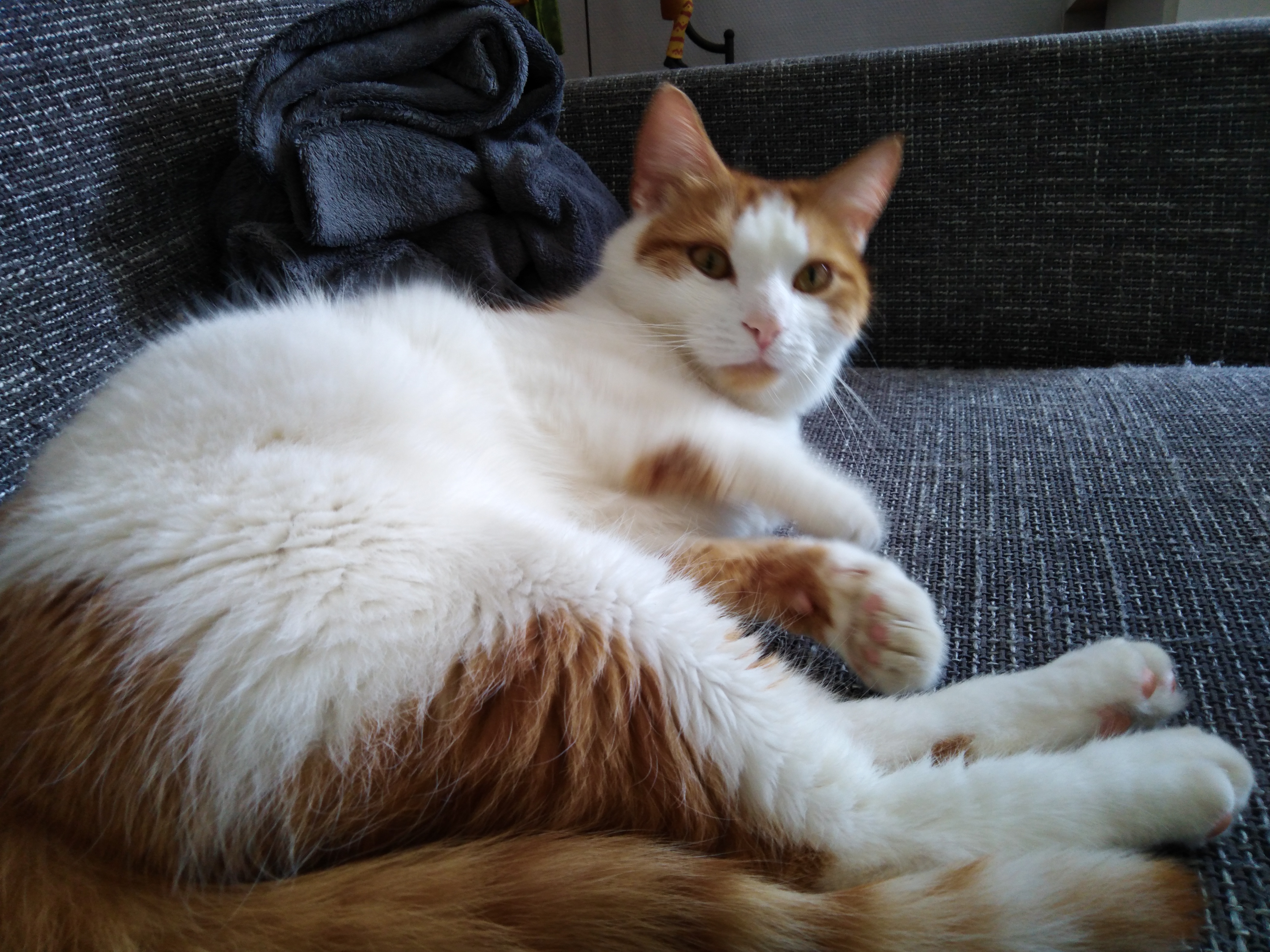 Photo n° 1 de l'avis de Ludovic.e fait le 09/05/2019 à 14:13