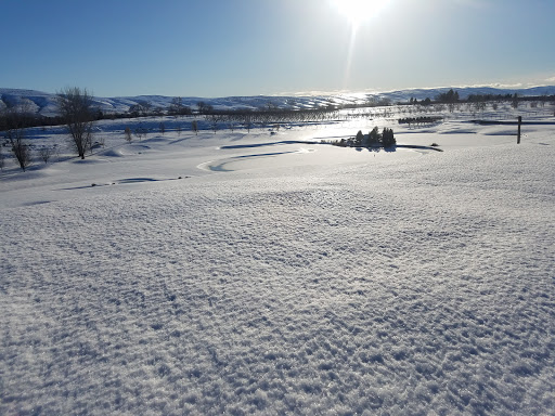 Golf Course «Apple Tree Golf Course», reviews and photos, 8804 Occidental Rd, Yakima, WA 98903, USA