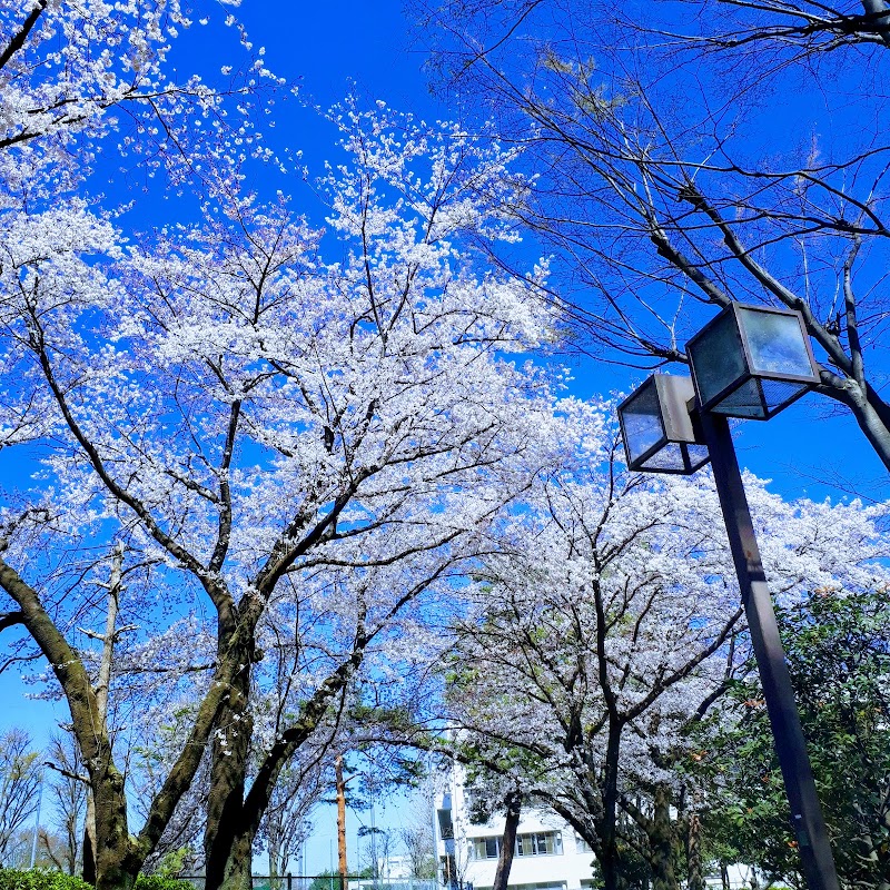 けやき公園