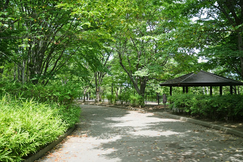 小布施総合公園 長野県小布施町大島 公園 公園 グルコミ