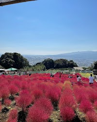 松田山ハーブガーデン