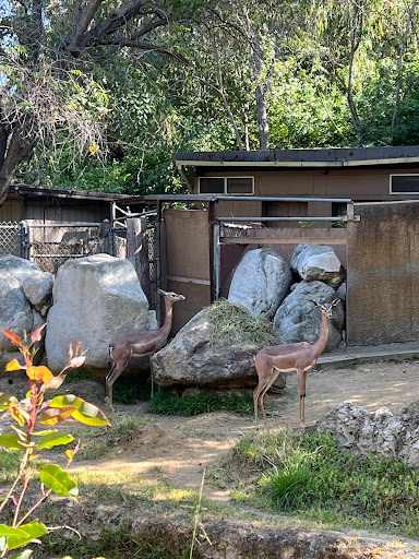 Hotel «DoubleTree by Hilton Hotel Los Angeles - Norwalk», reviews and photos, 13111 Sycamore Dr, Norwalk, CA 90650, USA