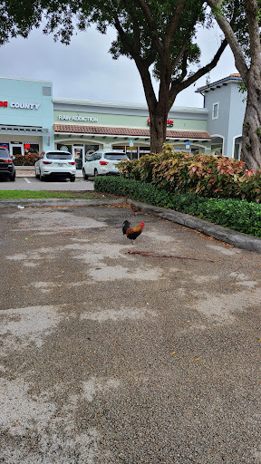 Barber Shop «Fade County Barbershop», reviews and photos, 14763 SW 184th St, Miami, FL 33187, USA