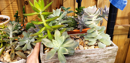 Shoe Store «SKECHERS Factory Outlet», reviews and photos, 250 E Palm Dr #160, Florida City, FL 33034, USA