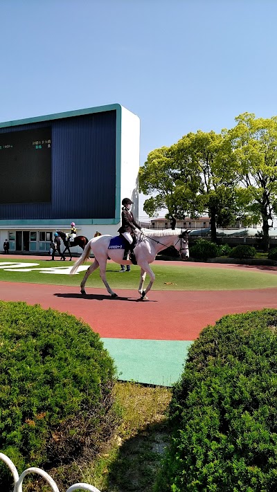 園田競馬場