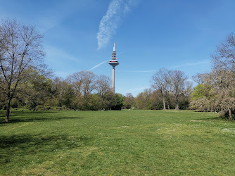 Grüneburgpark