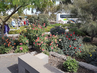 Yarrabee Native Garden