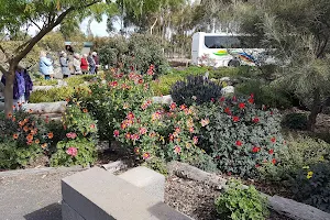 Yarrabee Native Garden image