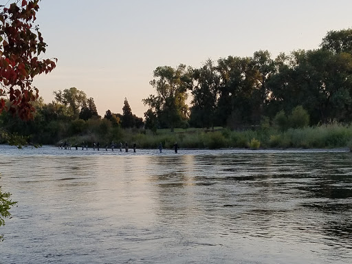 Golf Course «Campus Commons Golf Course», reviews and photos, 2 Cadillac Dr, Sacramento, CA 95825, USA