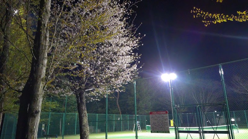 駒場公園 テニスコート