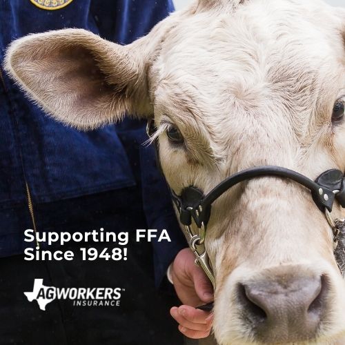 Insurance Company «AG Workers», reviews and photos