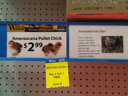 Animal Feed Store «Wilco Farm Store», reviews and photos, 664 W Baseline St, Cornelius, OR 97113, USA