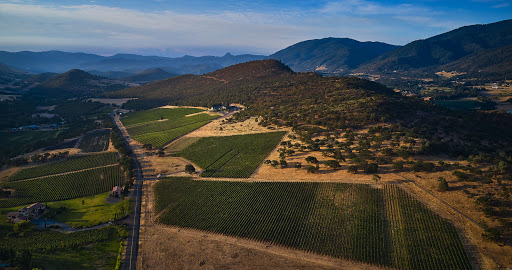 Winery «Irvine Vineyards», reviews and photos, 1614 Emigrant Creek Rd, Ashland, OR 97520, USA