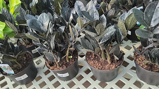 Garden Center «Flowerland», reviews and photos, 4321 28th St SE, Kentwood, MI 49508, USA