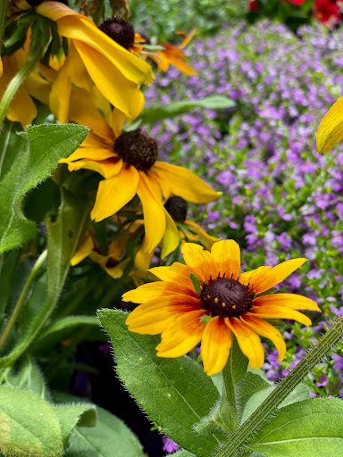 Home Improvement Store «The Home Depot», reviews and photos, 3183 SW 160th Avenue, Miramar, FL 33027, USA