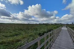 Waniewo bridge by floodwaters Narwii image