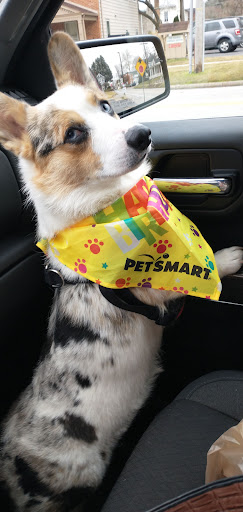 Pet Supply Store «PetSmart», reviews and photos, 248 Westminster Dr, Carlisle, PA 17013, USA