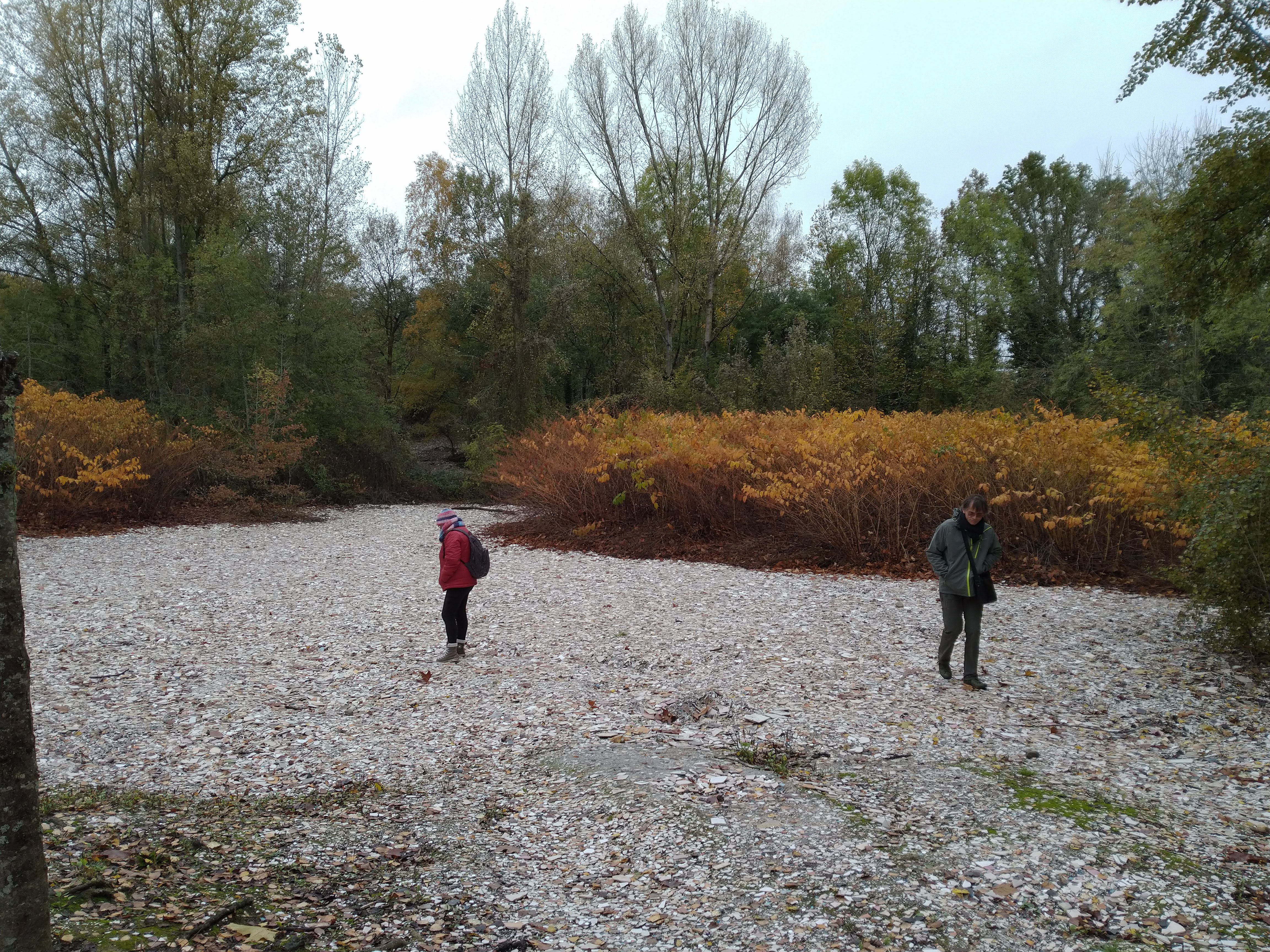 Photo n° 3 de l'avis de Richard.e fait le 14/11/2019 à 21:52