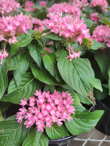 Home Improvement Store «The Home Depot», reviews and photos, 10233 Lakeridge Pkwy, Ashland, VA 23005, USA