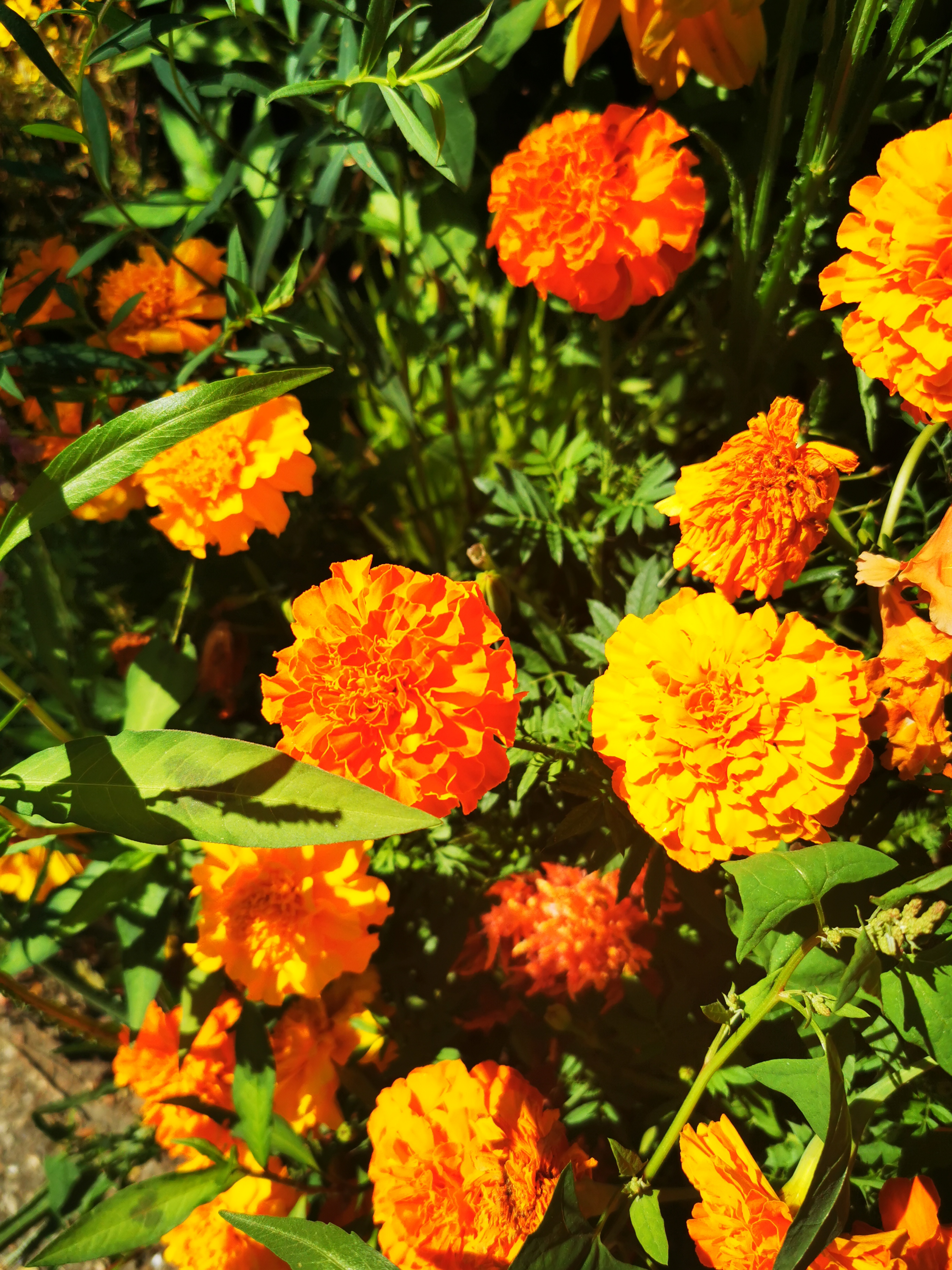 Photo n° 24 de l'avis de ASMA.A fait le 16/08/2022 à 18:29