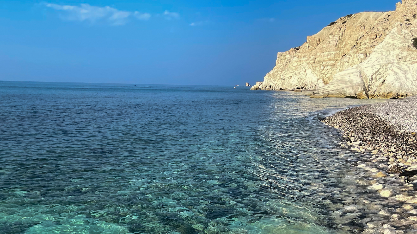 Wild dog's beach'in fotoğrafı çok temiz temizlik seviyesi ile
