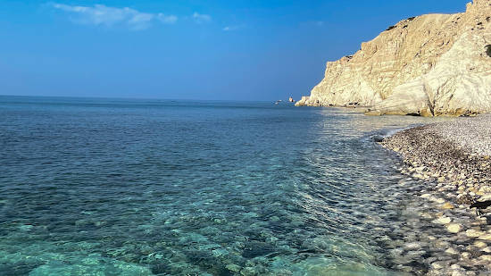 Wild dog's beach