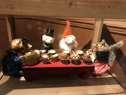 Pet Supply Store «New Lucky Fish Aquarium & Pet Supply», reviews and photos, 4818 8th Ave, Brooklyn, NY 11220, USA