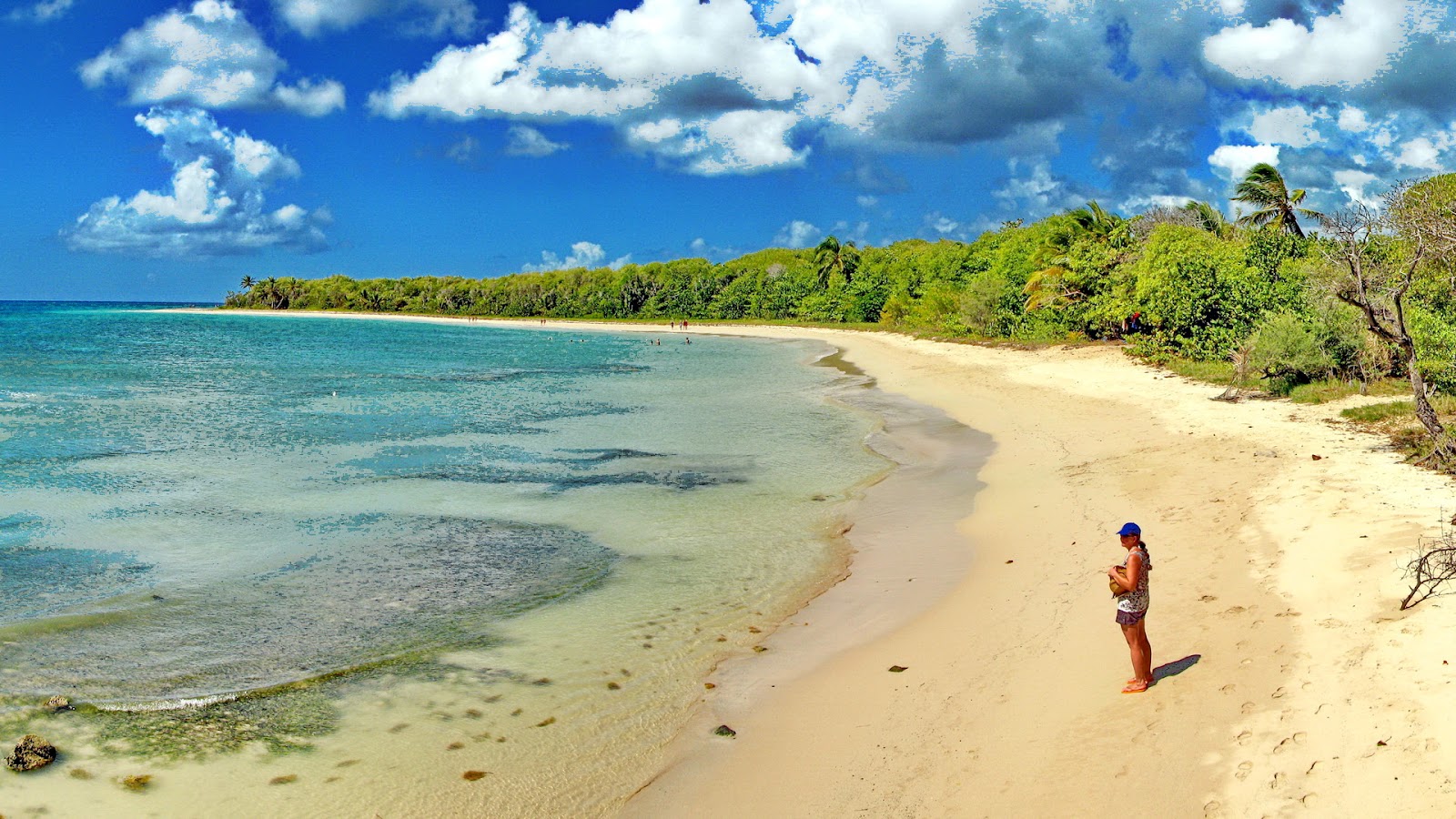 Photo de Grande terre beach avec sable fin et lumineux de surface