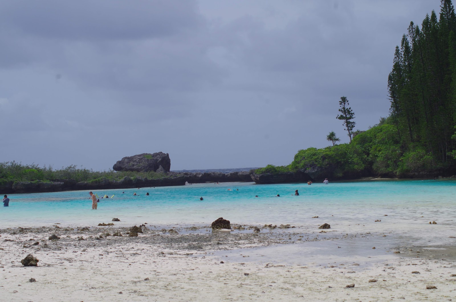 Photo de Oro Natural Pool avec un niveau de propreté de très propre